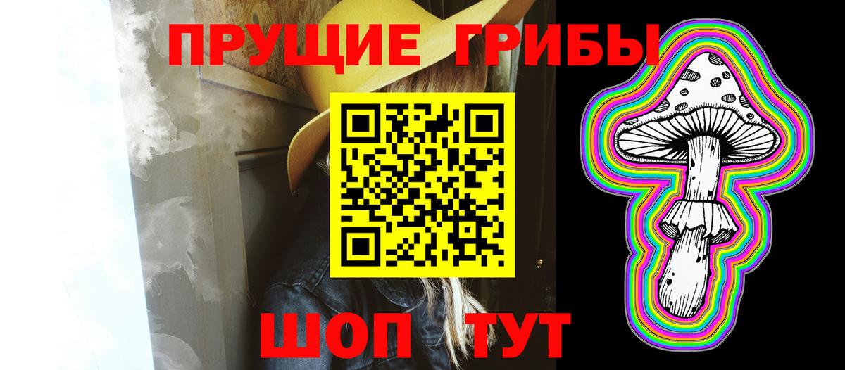 Галлюциногенные грибы Cubensis Новодвинск