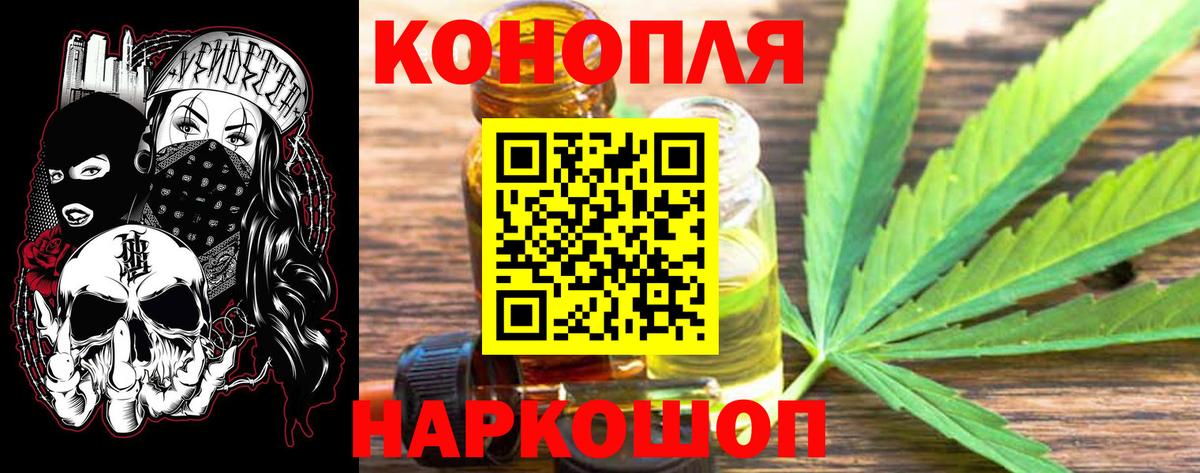 Канабис сатива Новодвинск